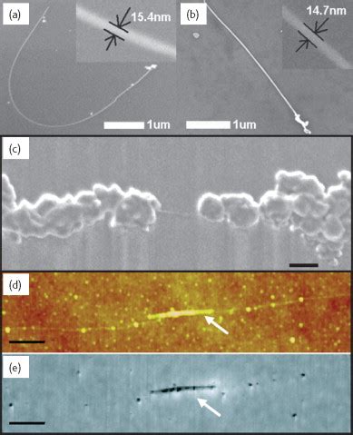 metal nanostructure dna template